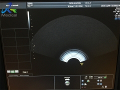 GE RIC5-9W-RS Realtime 4D microconvex endocavitary ultrasound probe