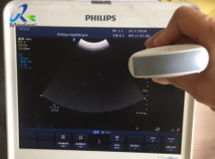Philips C5-1 Epiq/CX50/Affinit i Ultrasound Probe
