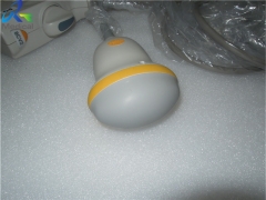 Toshiba PVT-675MV 3D ultrasound transducer