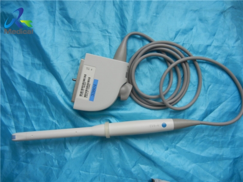 Siemens EV9-4 Endocavity Transducer